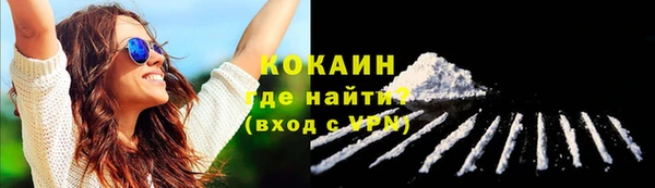 гашик Богородск