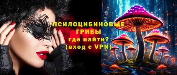не бодяженный Богородицк