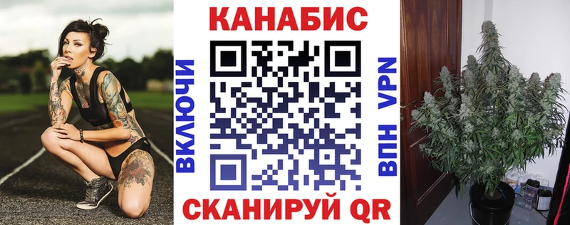 Купить где  Сураж  Бошки марихуана White Widow 
